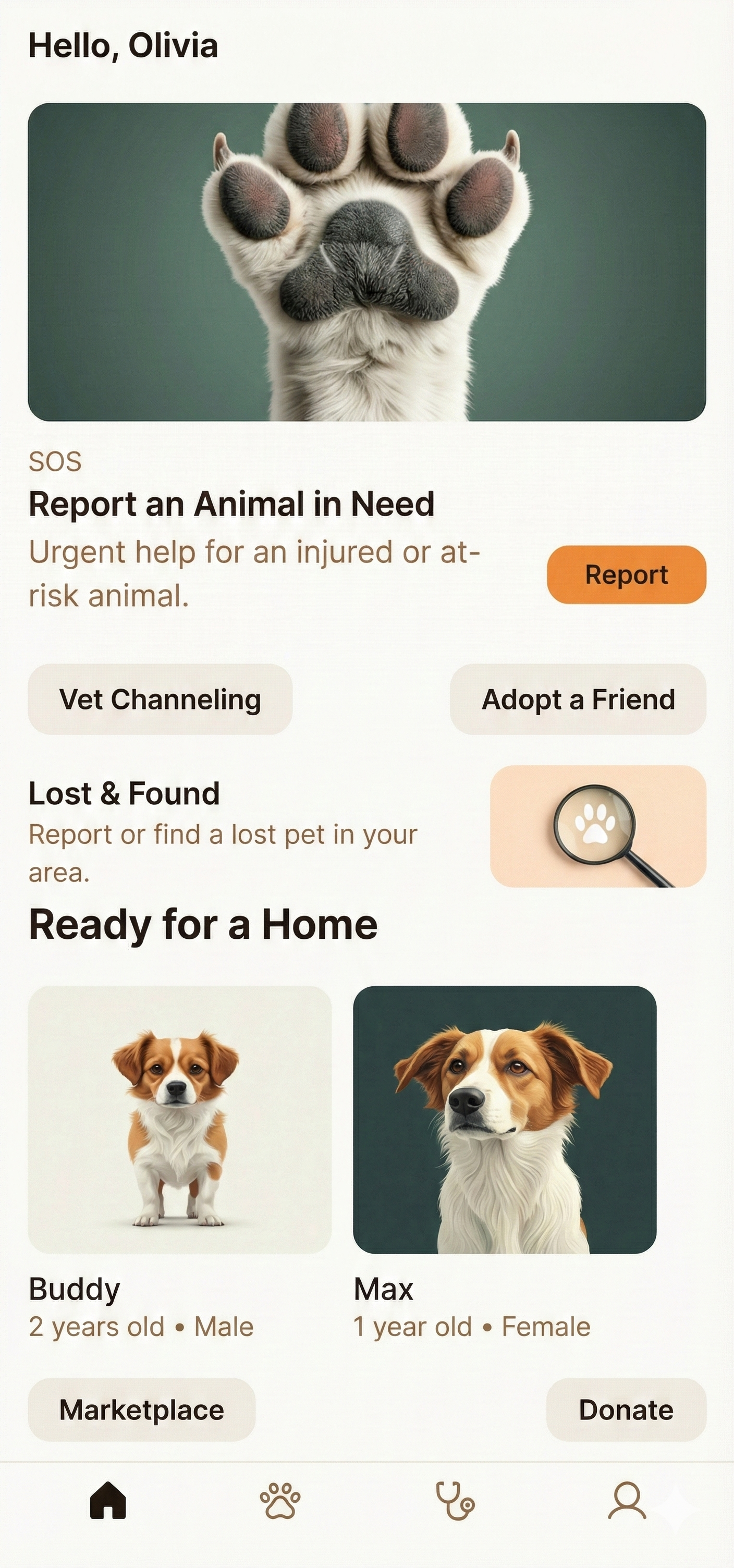 SafePaws App Dashboard